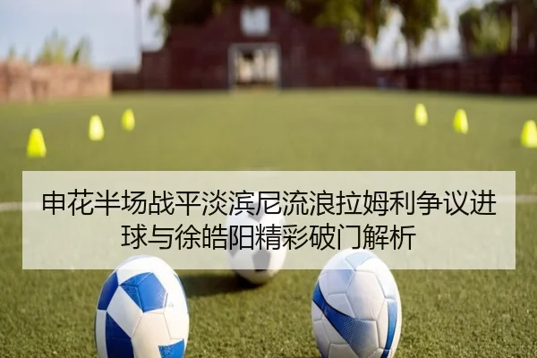 申花半场战平淡滨尼流浪拉姆利争议进球与徐皓阳精彩破门解析